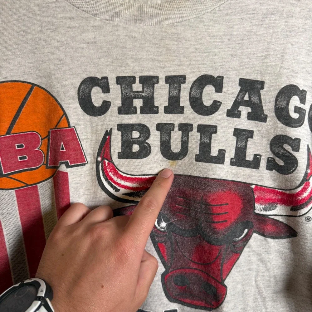 Vintage 1993 Chicago Bulls NBA World Champions T-Shirt Salem Single‎ Stitch Grey